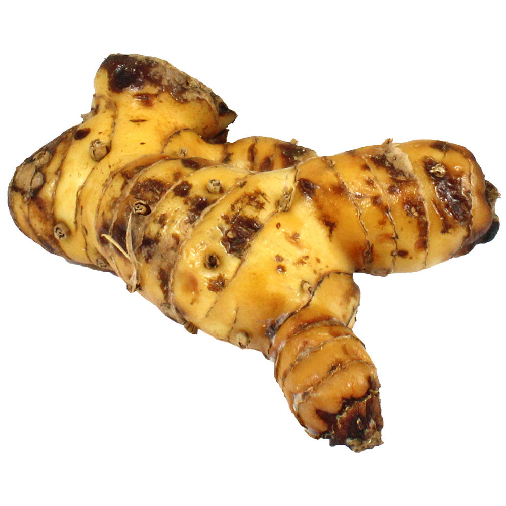 Fresh Galangal Root, Avg. 1.0 lb