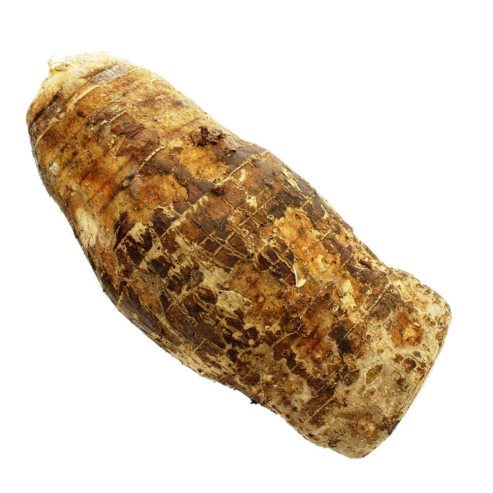 Fresh Malanga Coco Root, Avg. 2.1 lbs