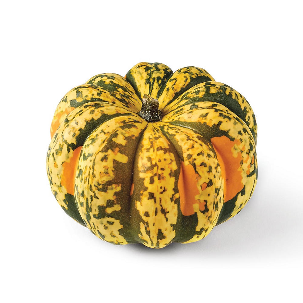 Fresh Carnival Squash, Avg. 1.5 lbs