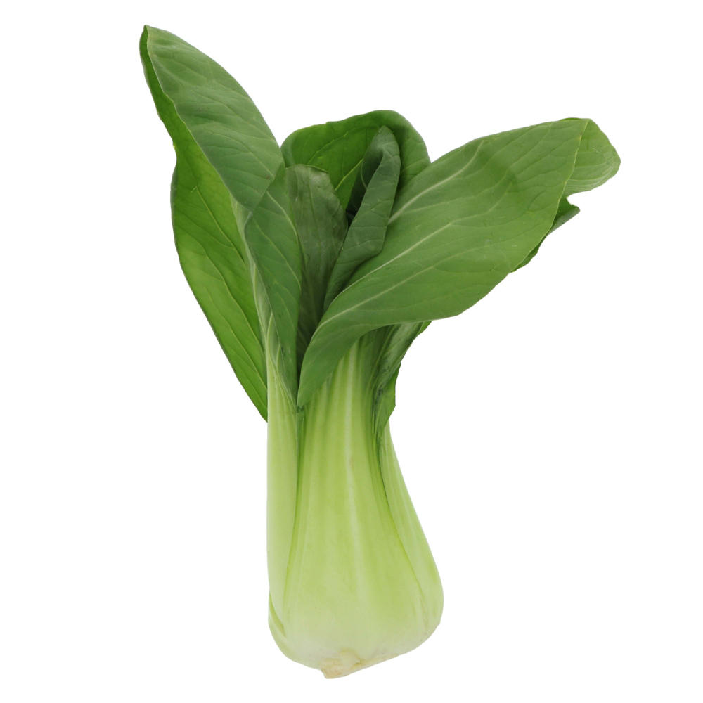 Fresh Shanghai Baby Bok Choy, Avg. 0.75 lb