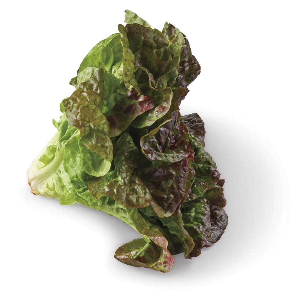 Fresh Red Leaf Lettuce