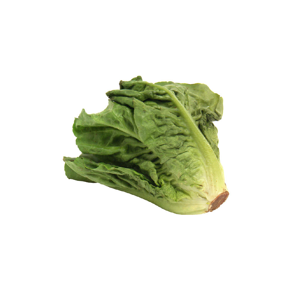 Fresh Escarole, EACH