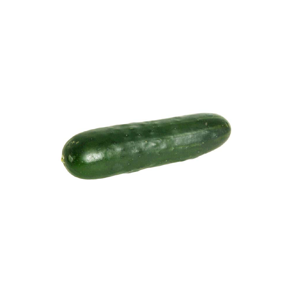 Fresh Cucumber