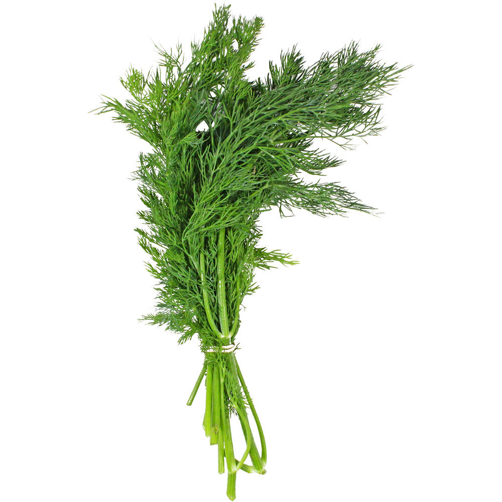 Fresh Dill, ea