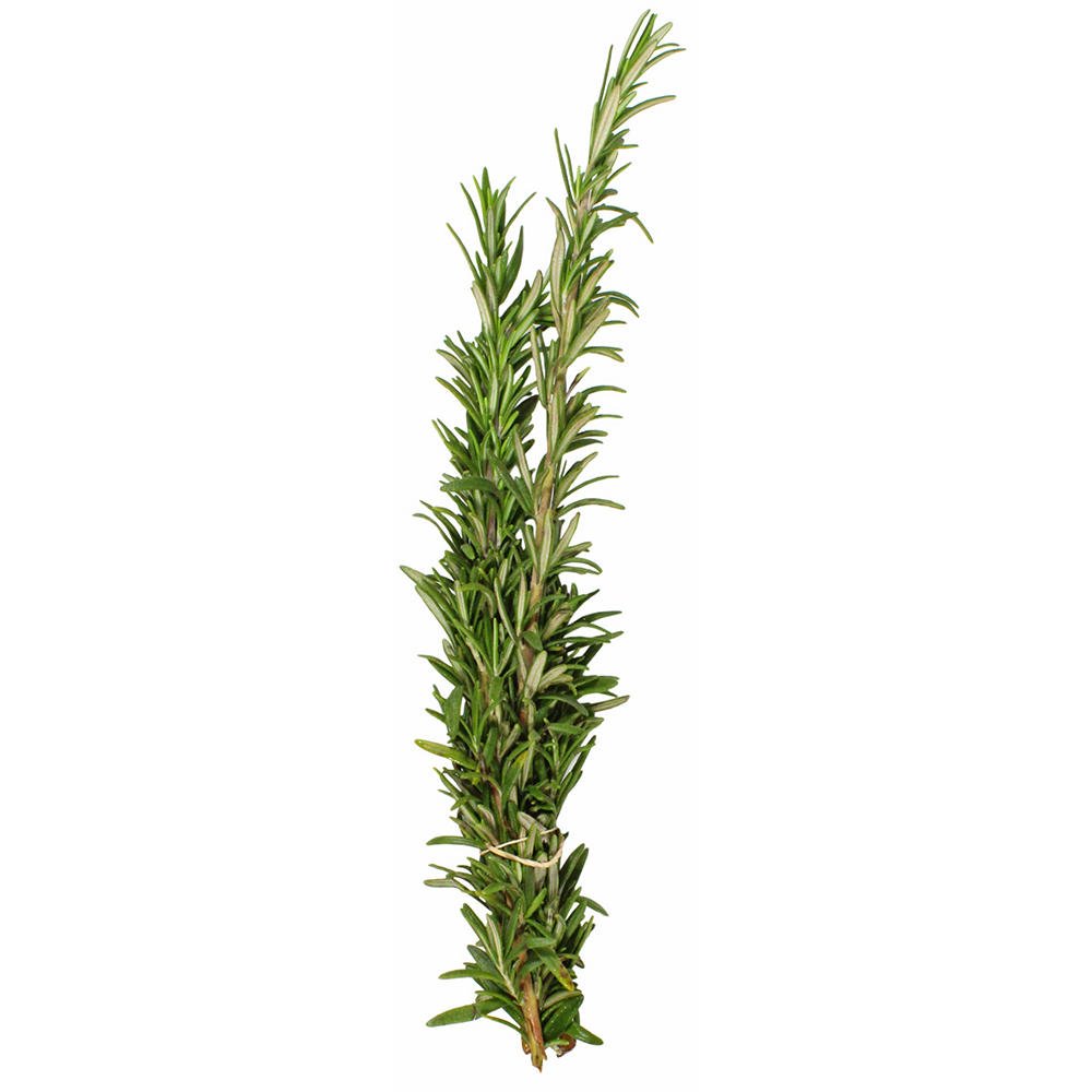 Fresh Rosemary, ea