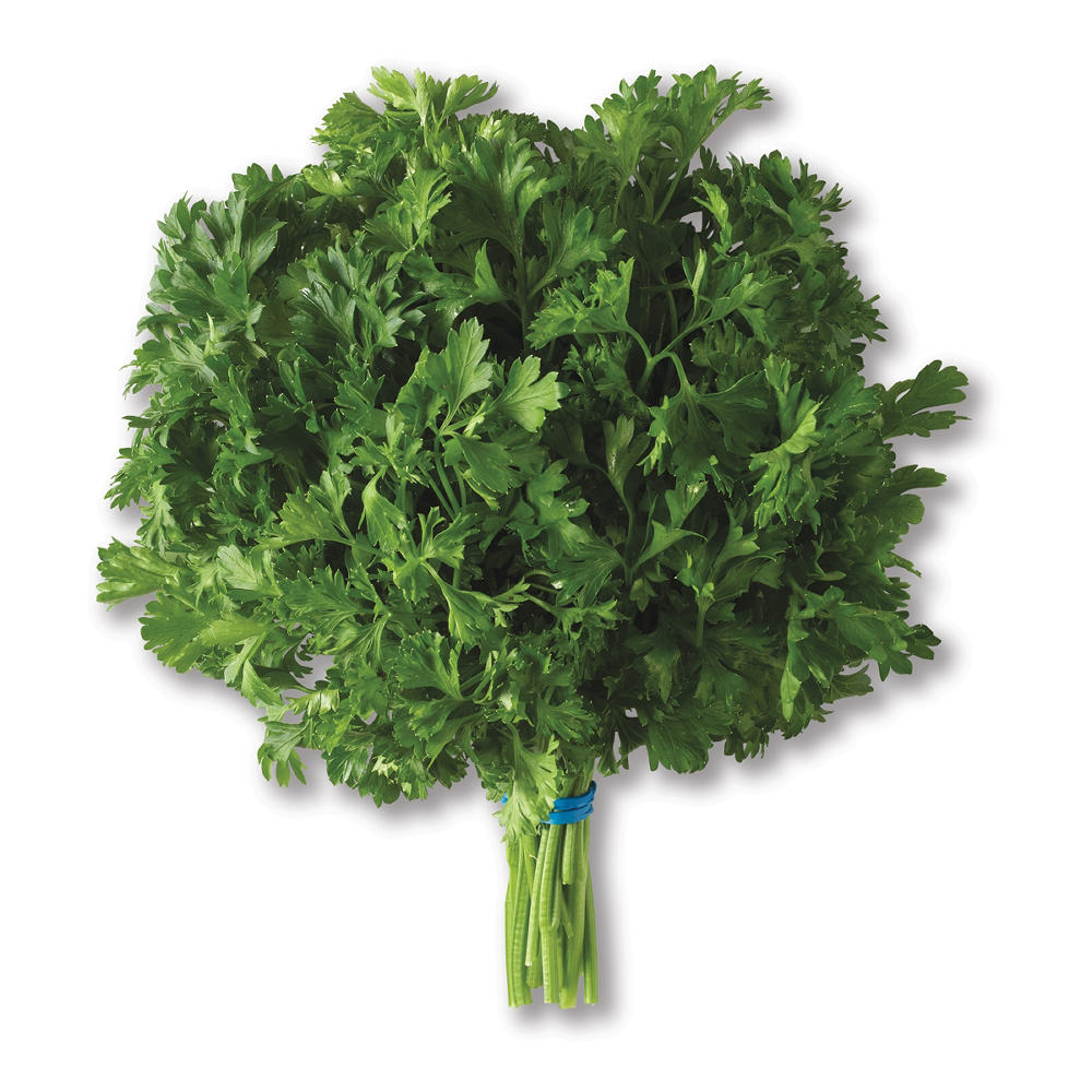 Fresh Curly Leaf Parsley