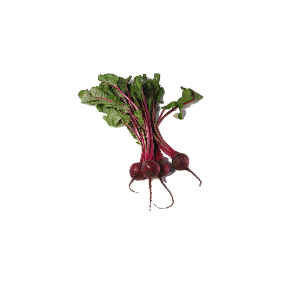 Fresh Baby Bunch Beets, EACH