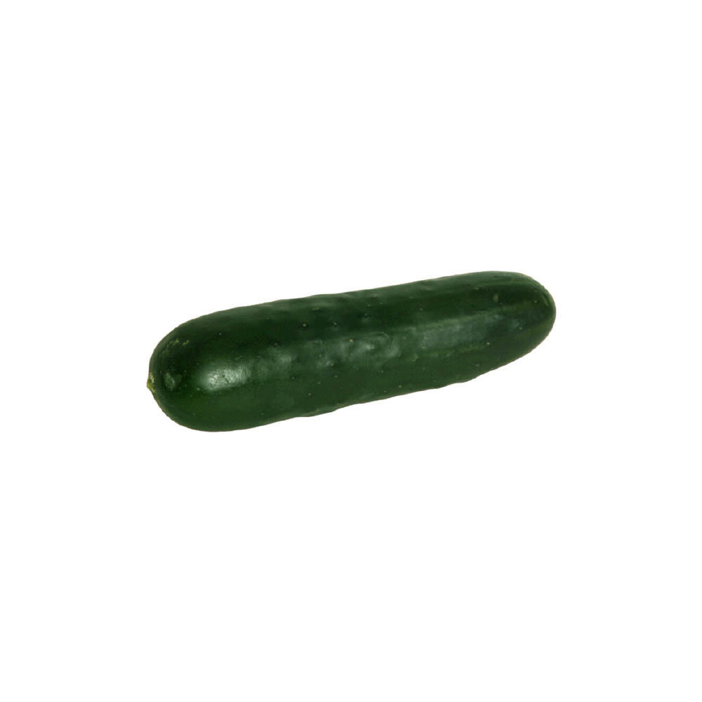 Fresh Organic Cucumber