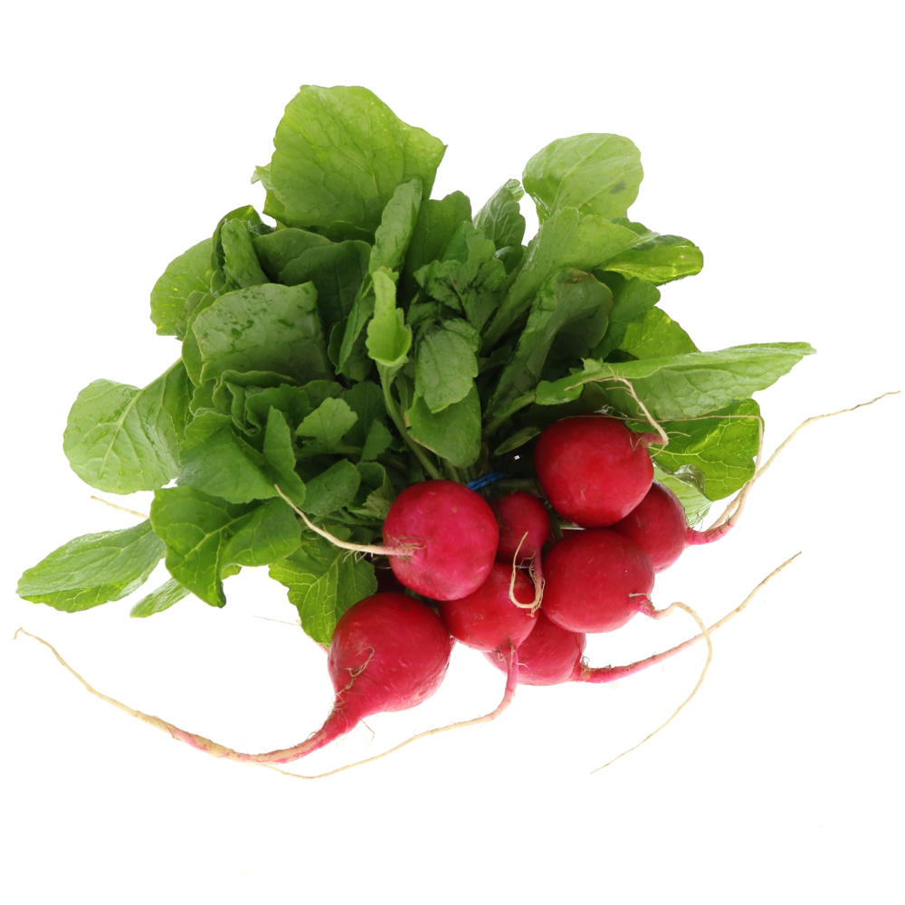 H-E-B Fresh Organic Radish Bunch
