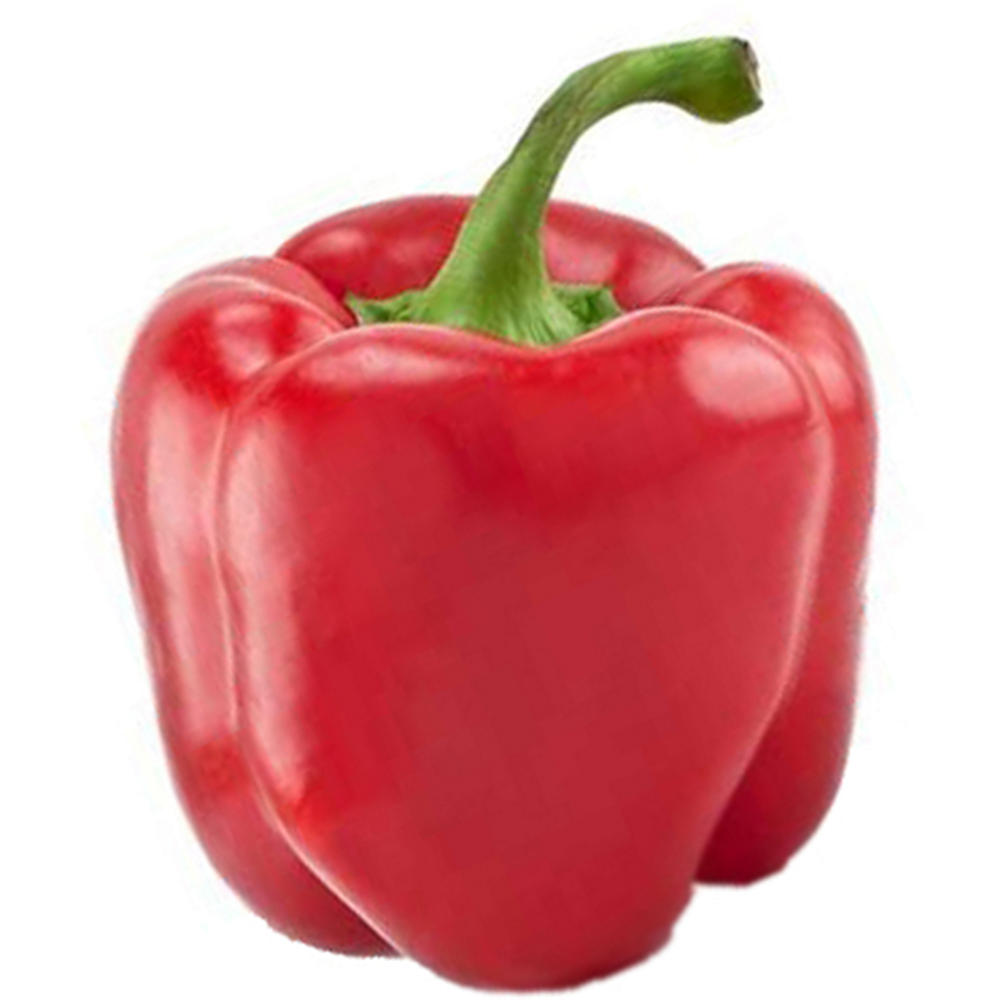 Fresh Organic Red Bell Pepper