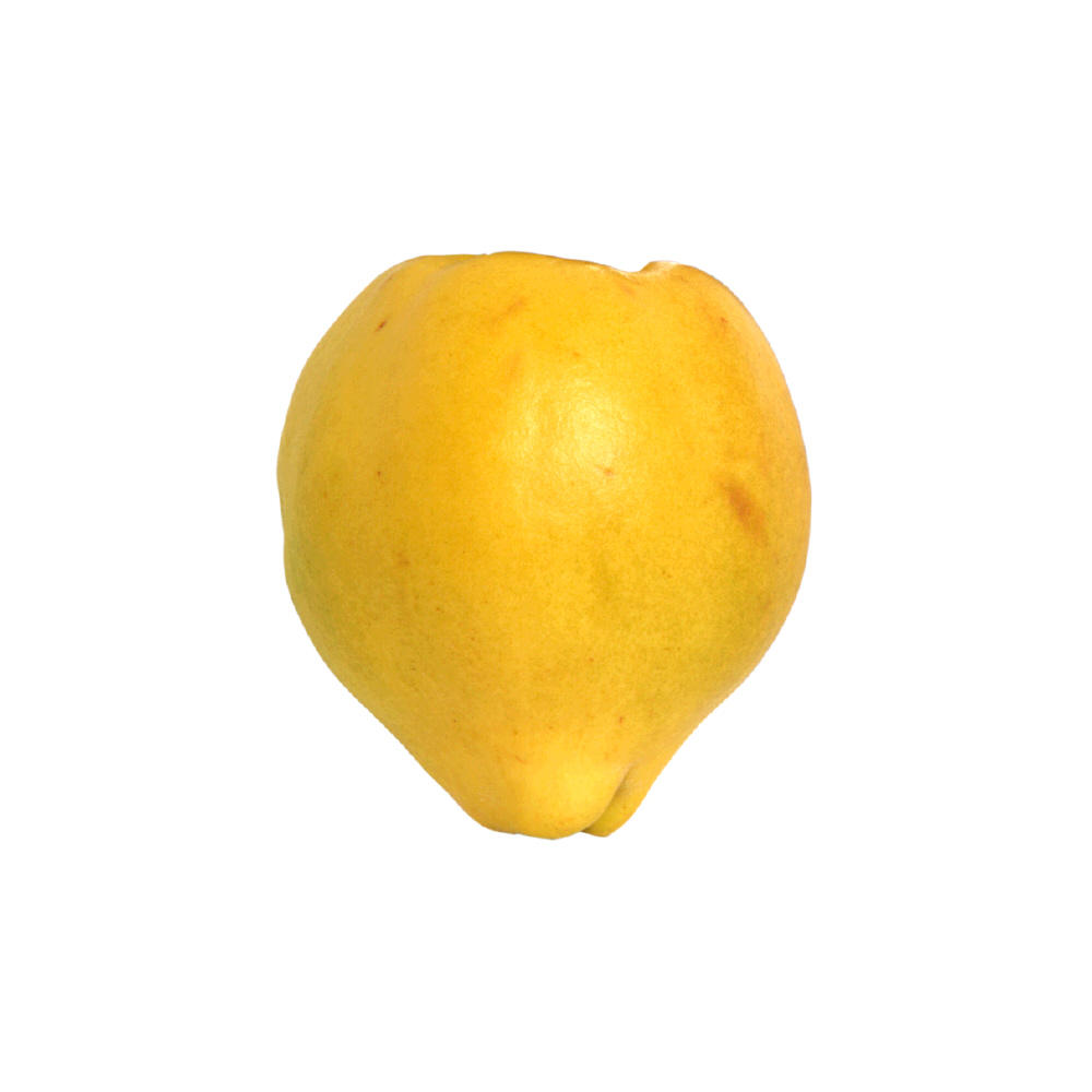 Fresh Quince, Avg. 0.5 lb