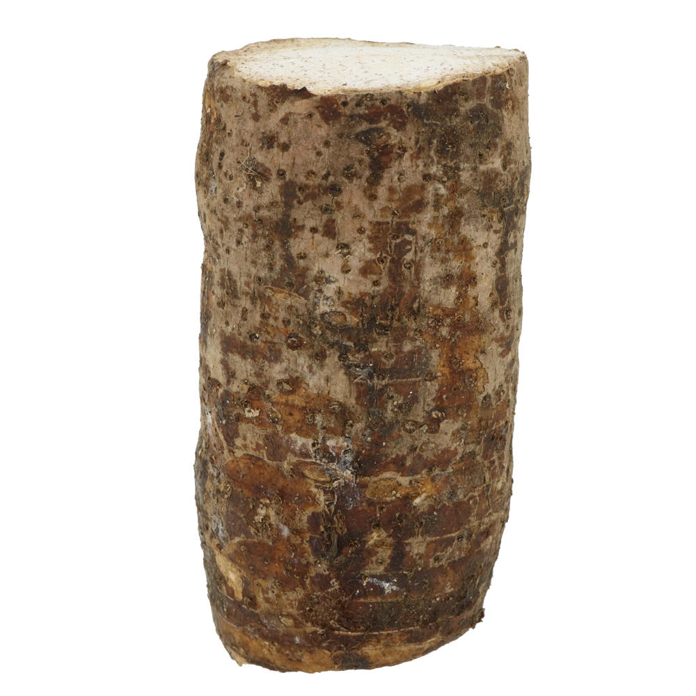 Fresh Malanga Coco Root, Avg. 2.1 lbs