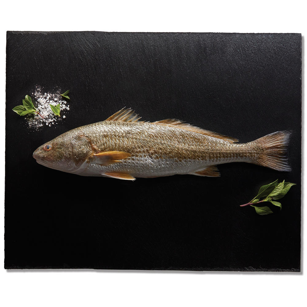 Fresh Responsibly Farmed Whole Redfish, Avg. 3.6 lbs