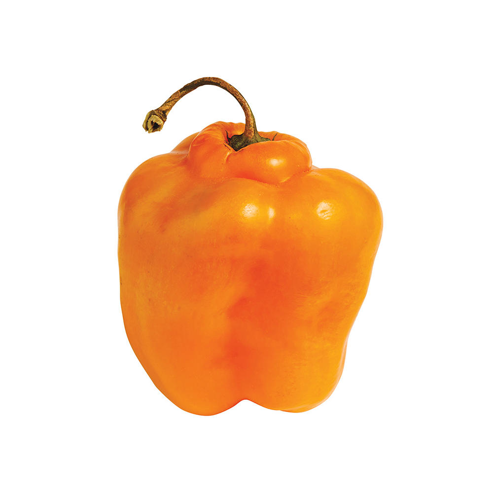 Fresh Manzano Chile Pepper, Avg. 0.165 lb