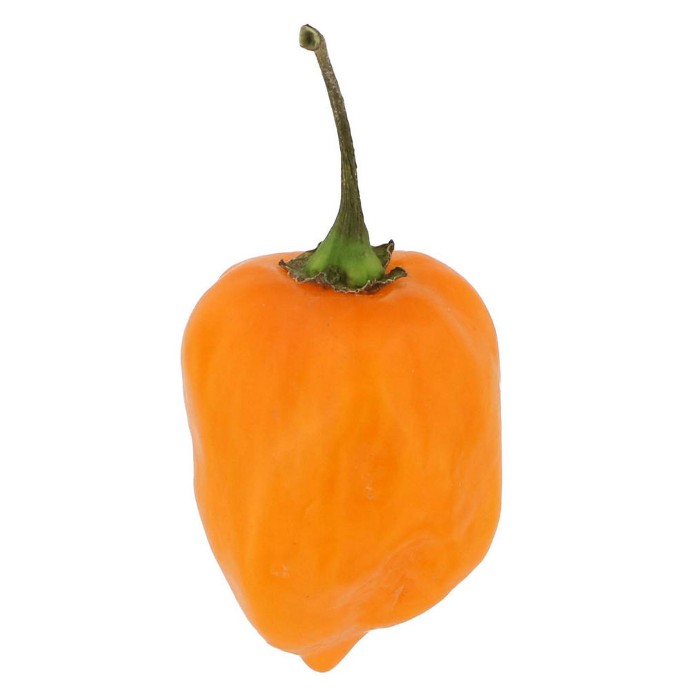 Fresh Habanero Peppers, Avg. 0.03 lb