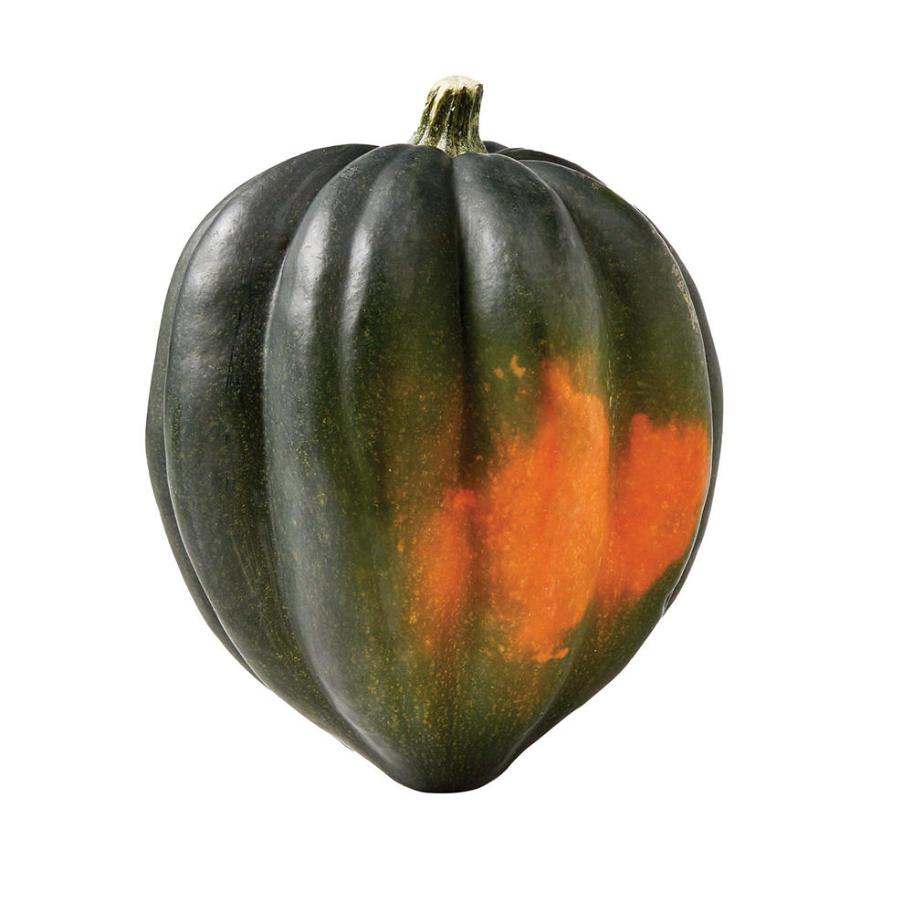 Fresh Acorn Squash, Avg. 1.67 lbs