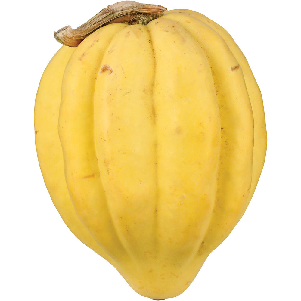 Fresh White Acorn Squash, Avg. 1.25 lbs