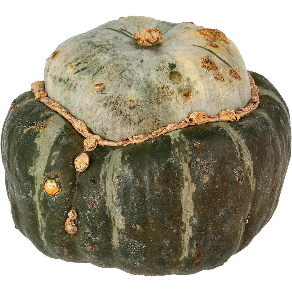 Fresh Buttercup Squash, Avg. 1.5 lbs
