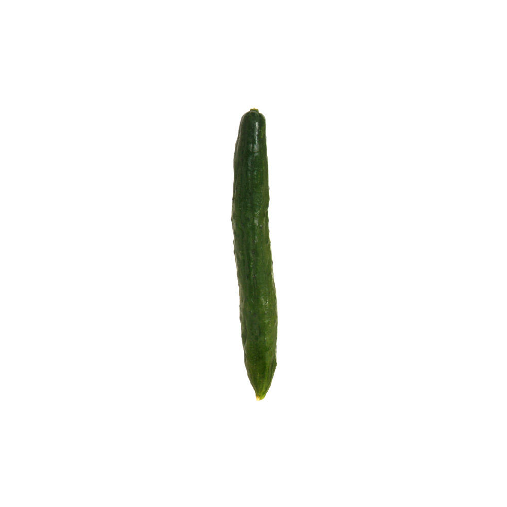 Fresh Japanese Cucumber, 1.00 ea