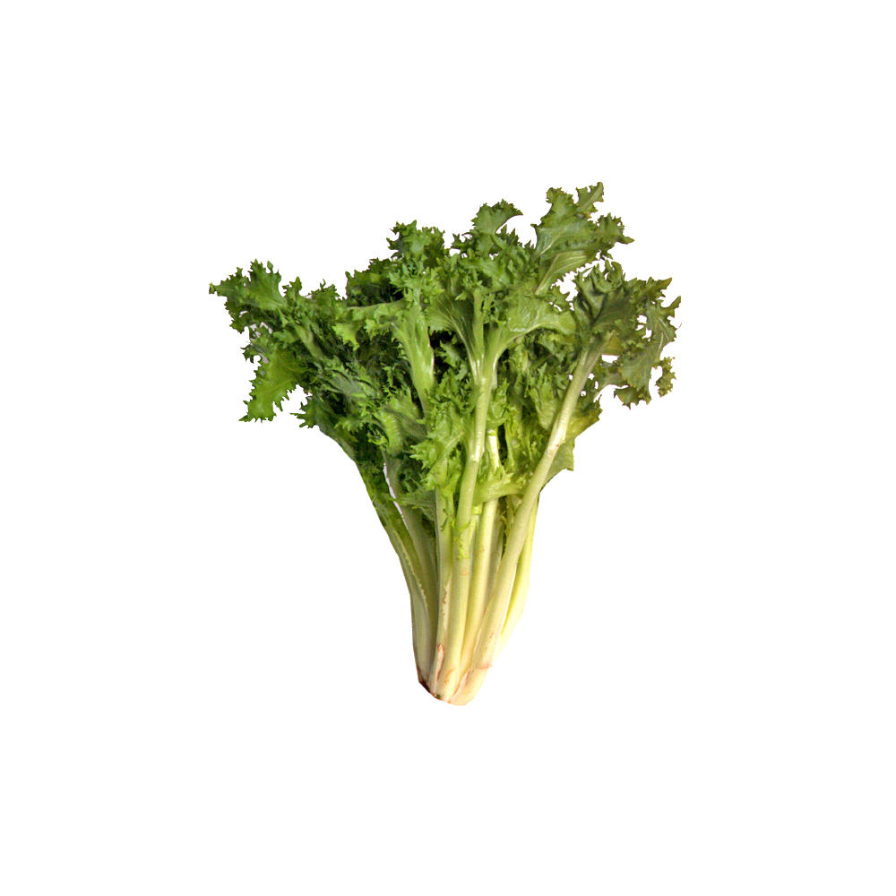 Fresh Endive