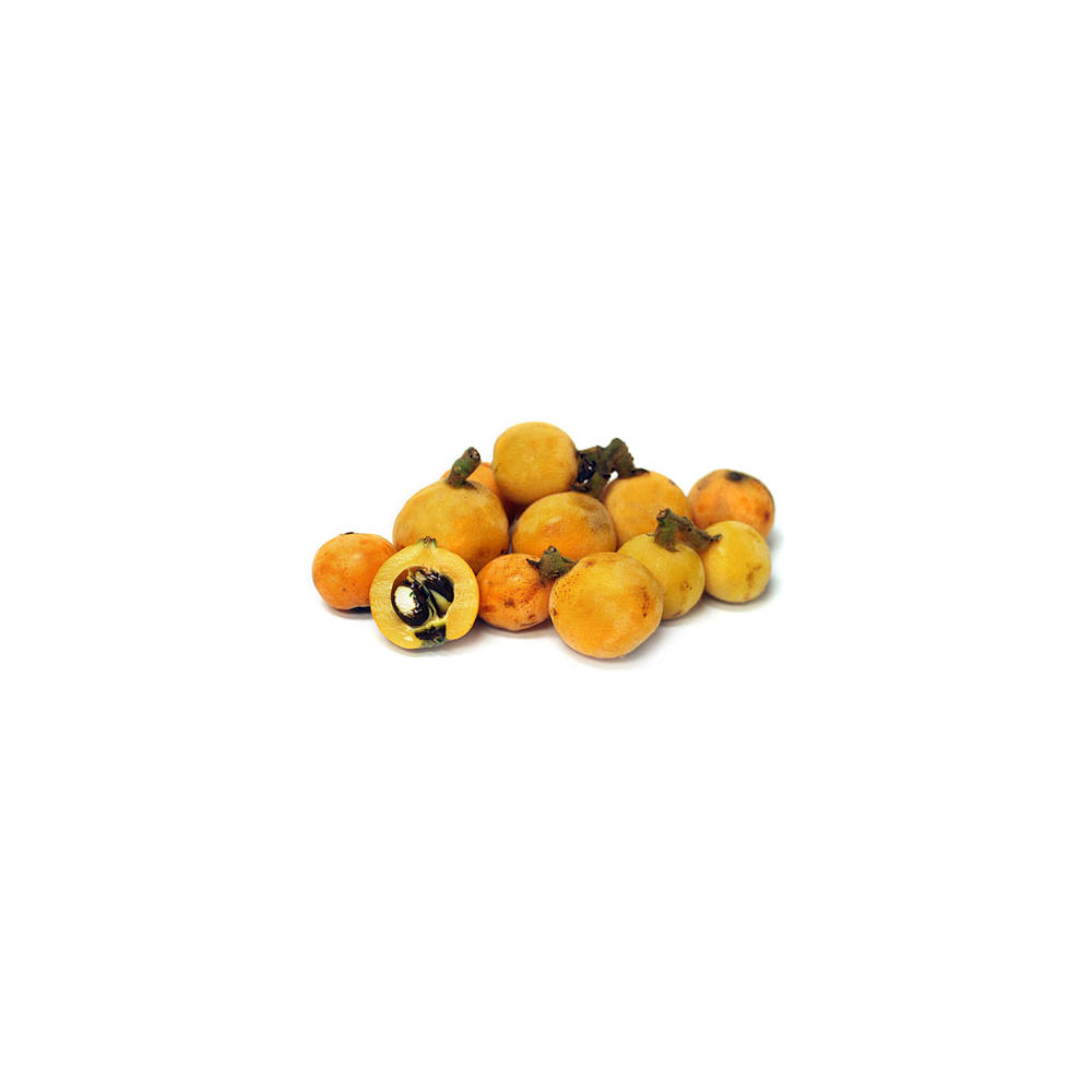 Fresh Loquats, ea