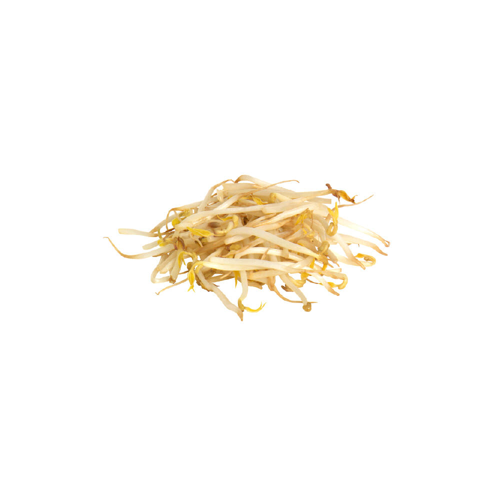 Fresh Bean Sprouts, 1.00 pk