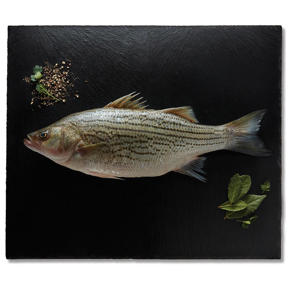 Fresh Responsibly Farmed Whole Striped Bass, Avg. 2.13 lbs