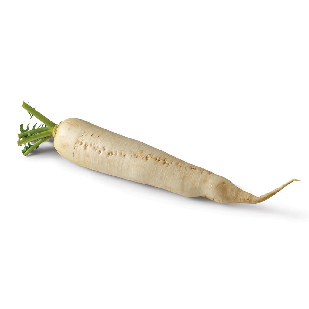 Fresh Daikon, Avg. 1.43 lbs