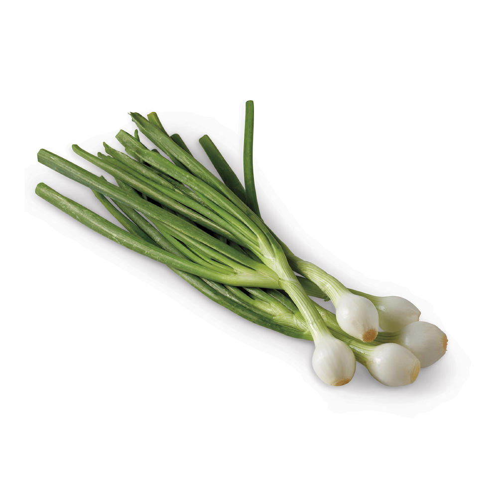 Fresh Bulb Onions
