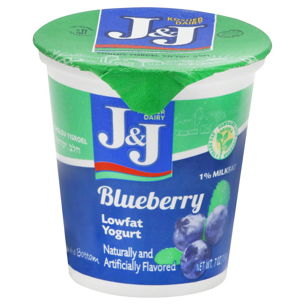 J & J Low Fat Blueberry Yogurt, 8 oz
