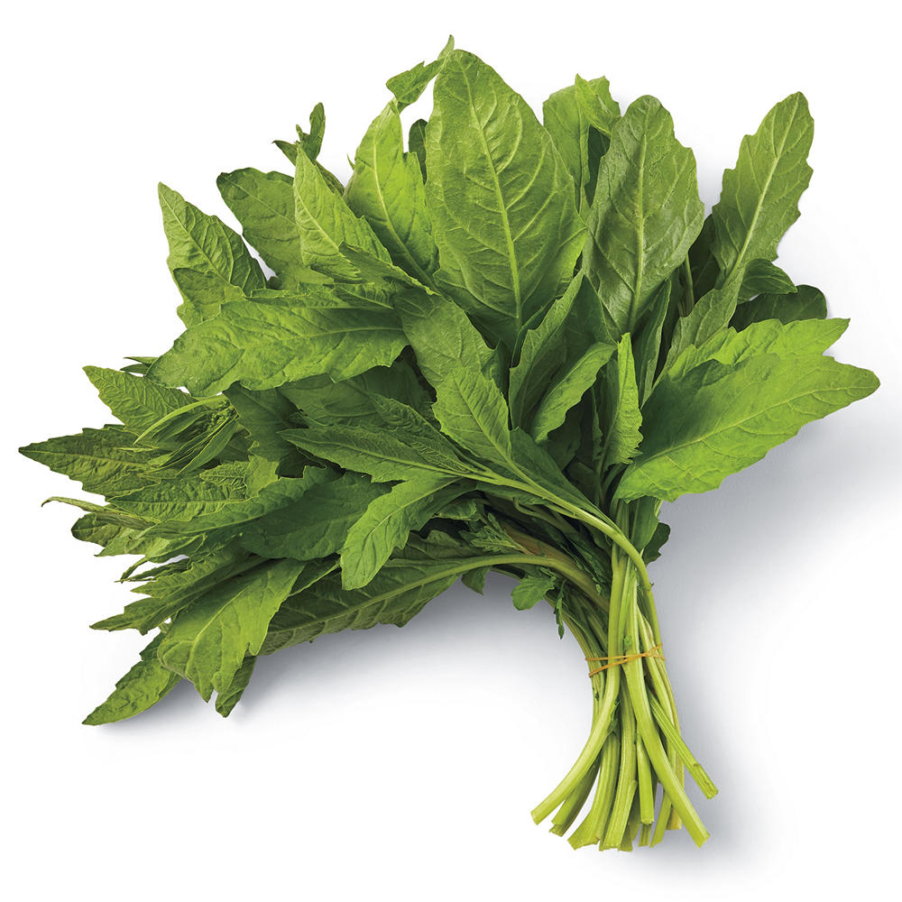 Fresh Epazote