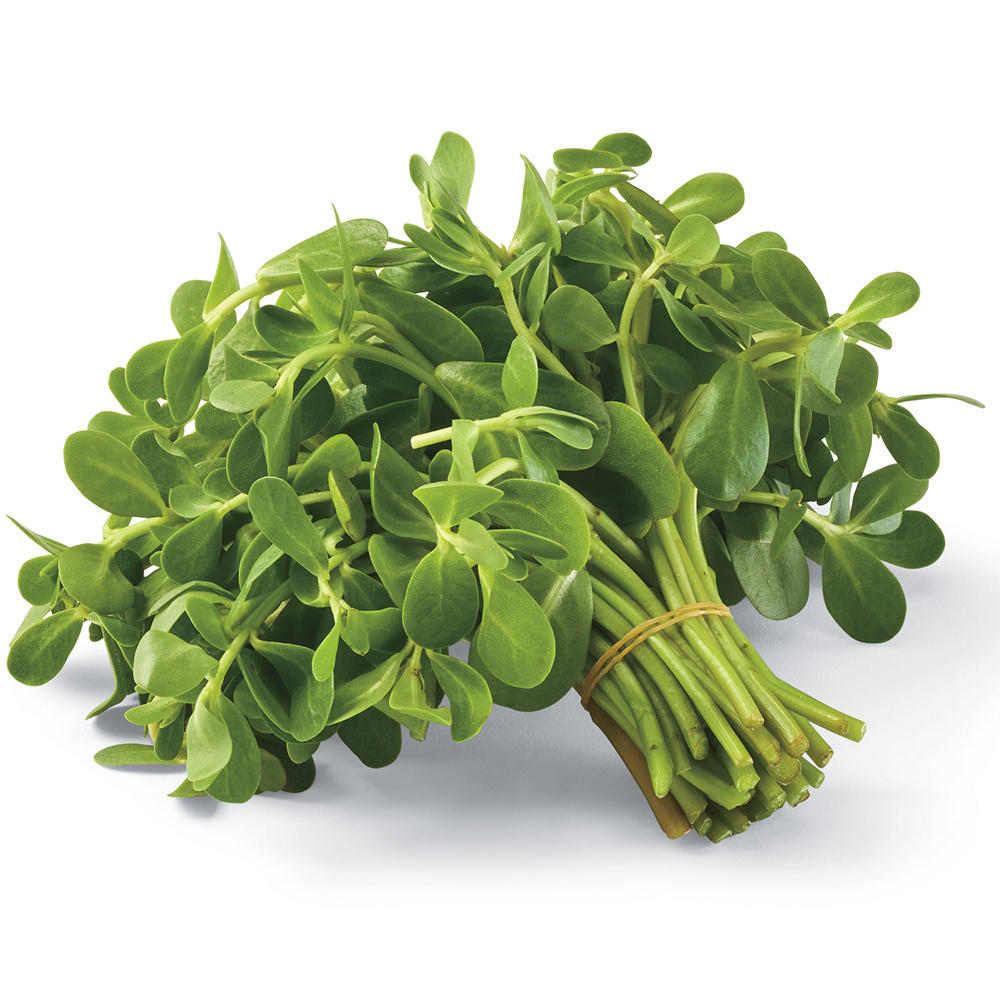 Fresh Verdolaga