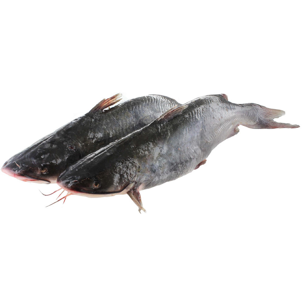 H-E-B Fish Market Fresh Whole Catfish, Head On, Avg. 3.9684 lbs
