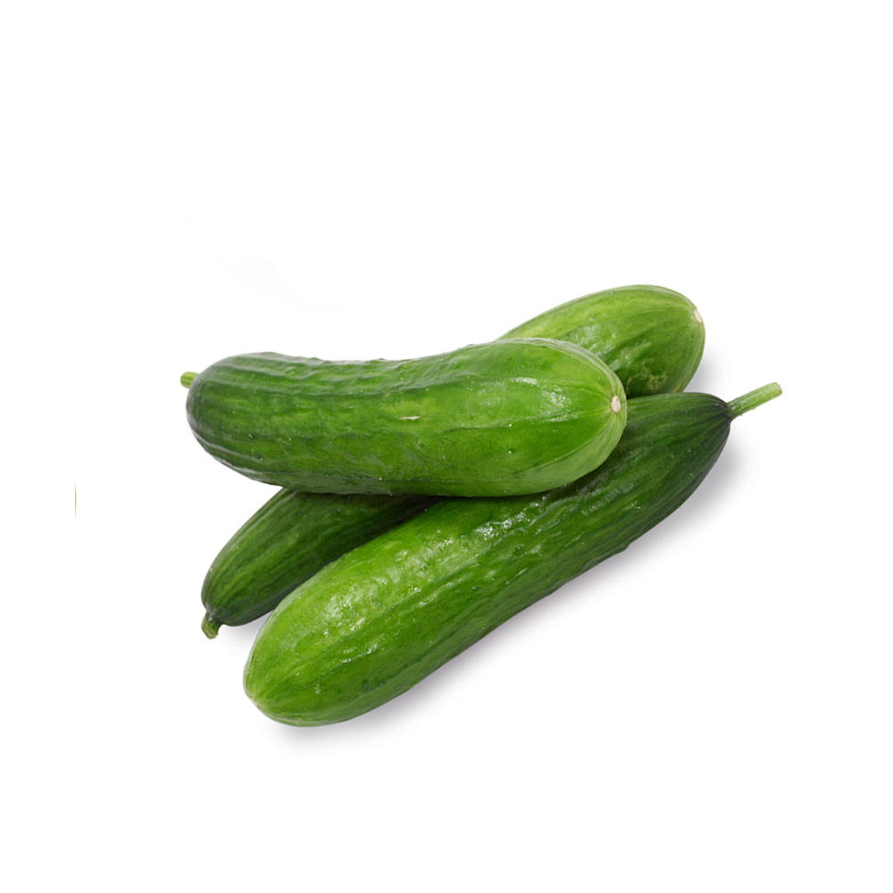 Fresh Persian Cucumber, Avg. 1.0 lb
