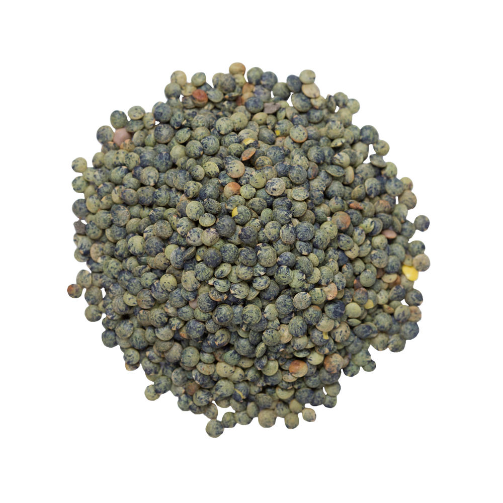 Bulk Organic French Green Lentils, sold by the pound