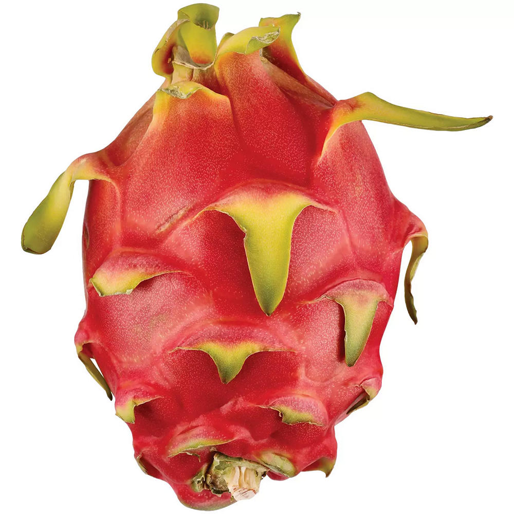 Fresh Red Dragon Fruit, Avg. 0.95 lb