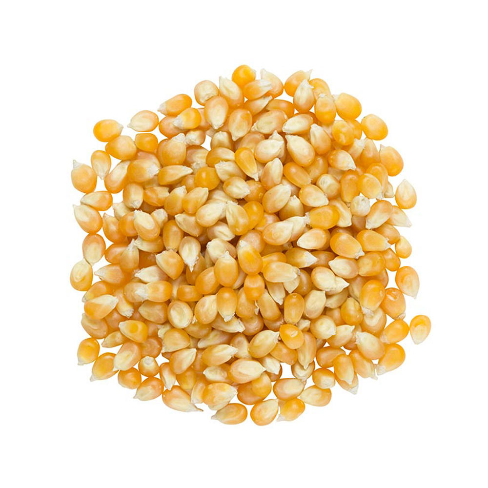 SunRidge Farms Organic Popcorn, lb