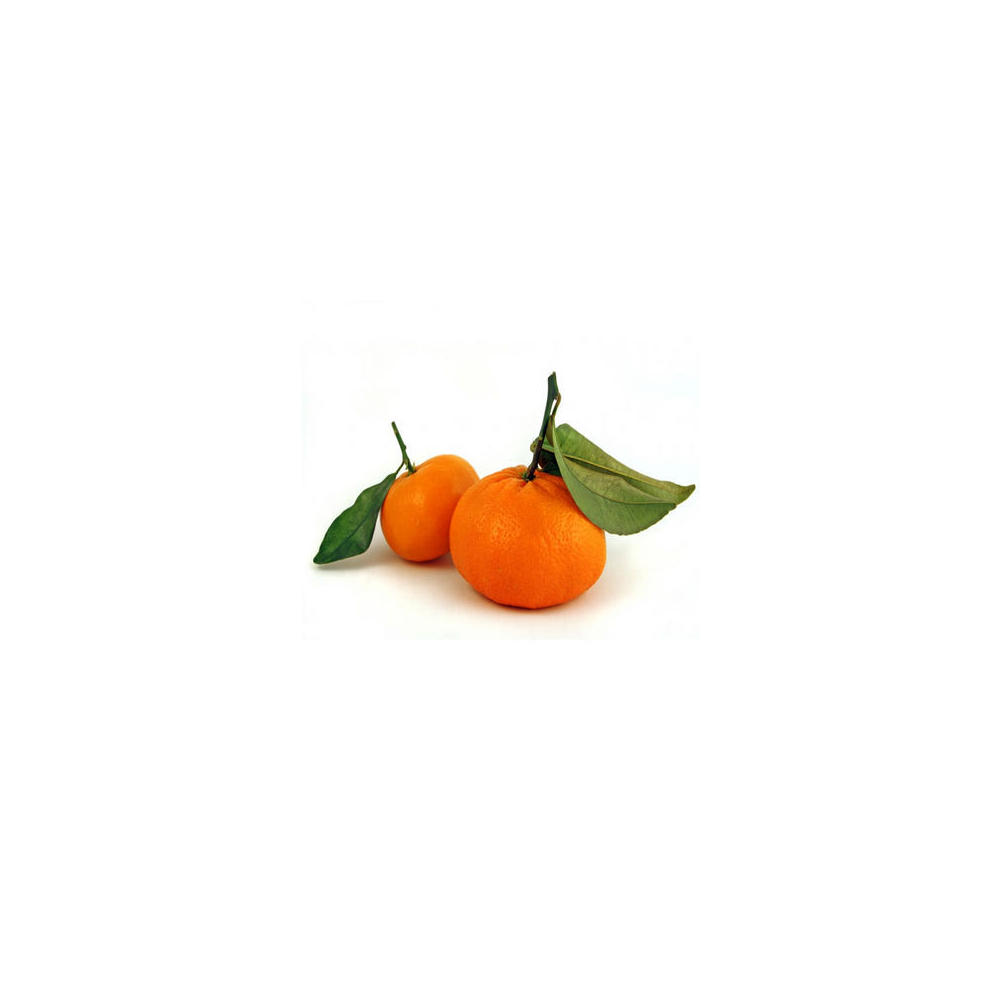 Fresh Mandarins, Avg. 0.5 lb