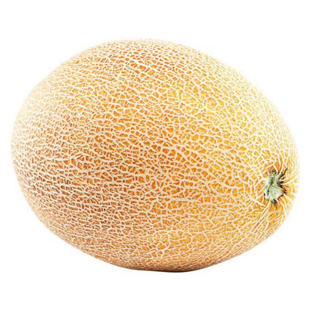 Fresh Golden Hami Melon
