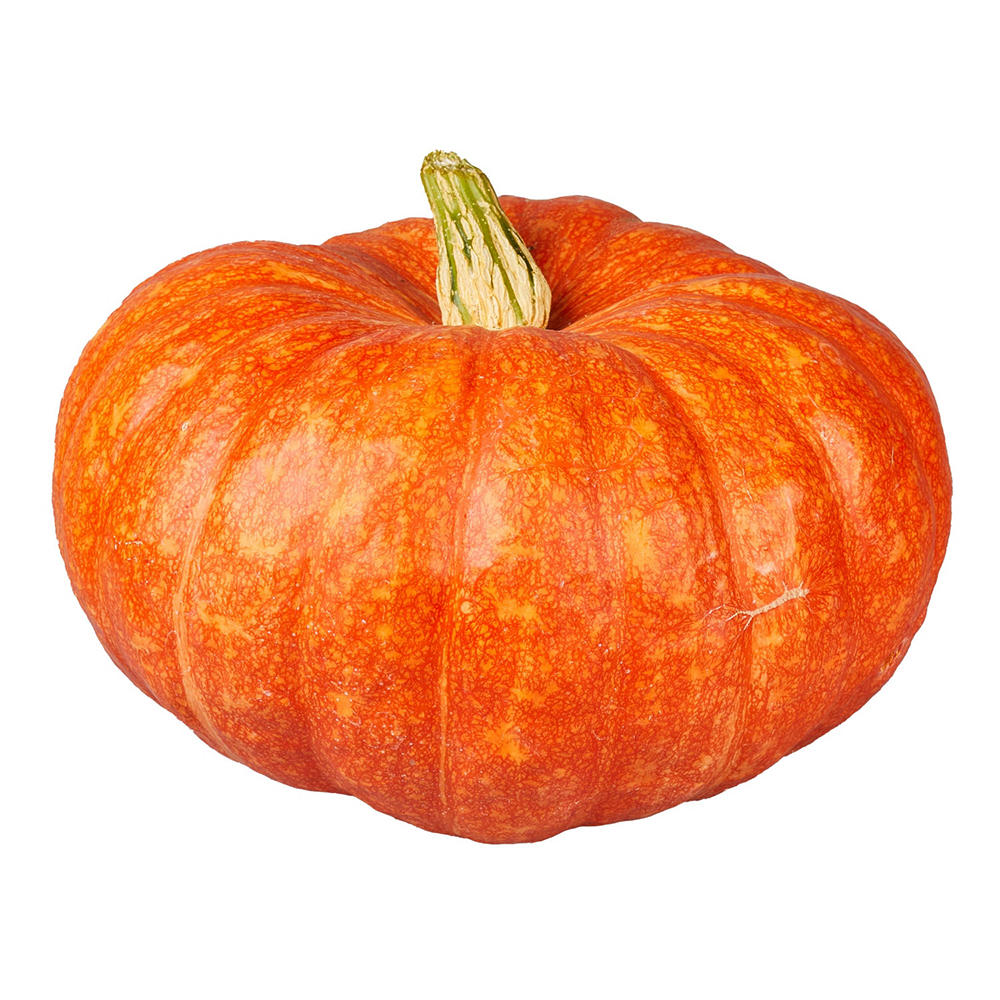 H-E-B Texas Roots Large Cinderella Pumpkin