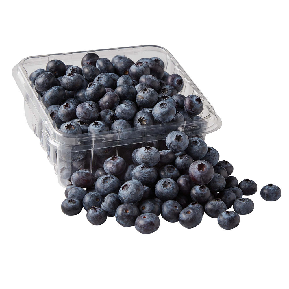 Fresh Blueberries, 11 oz