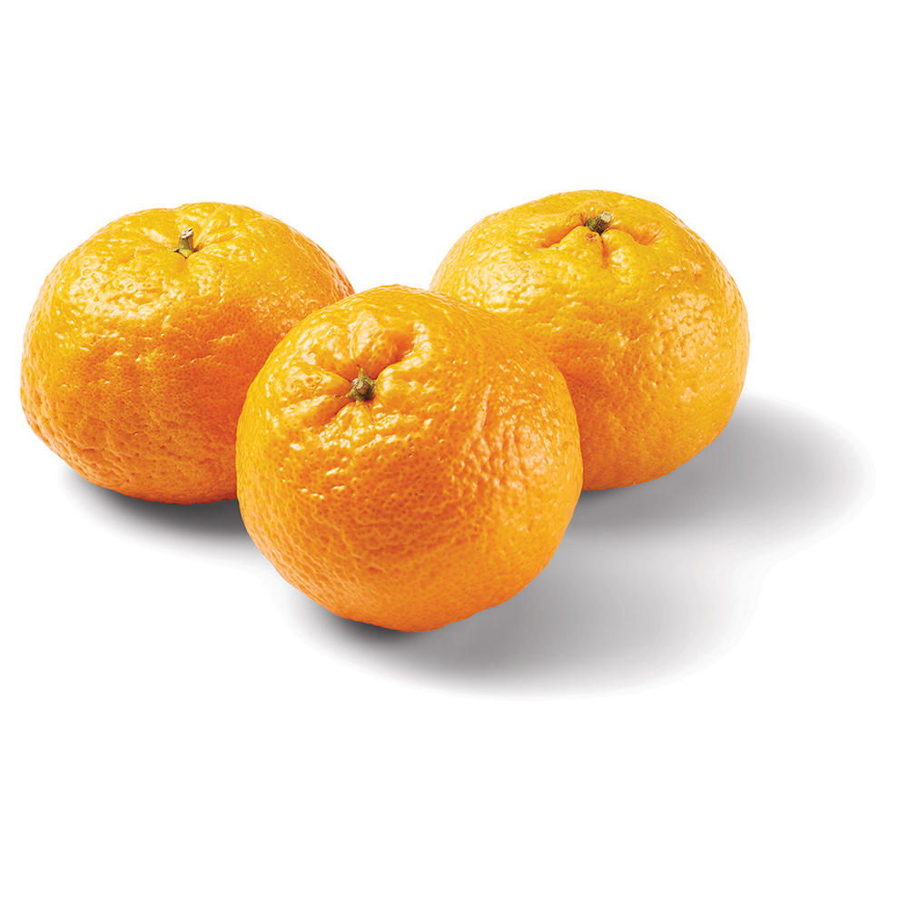 Fresh Gold Nugget Mandarins, Avg. 0.25 lb