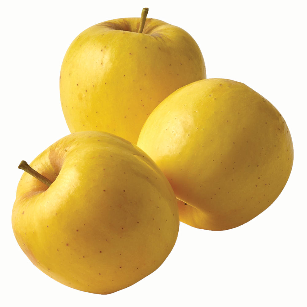 Fresh Opal Gold Apple, Avg. 0.55 lb