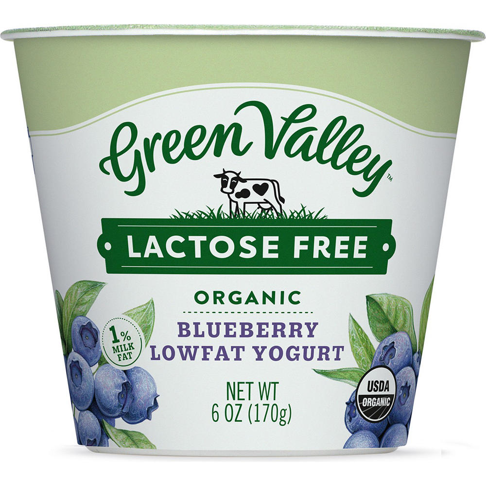 Green Valley Lactose Free Organic Blueberry Lowfat Yogurt, 6 oz