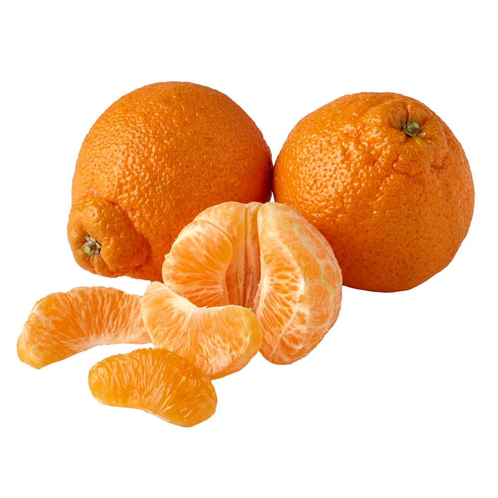 Fresh Dekopon Citrus, Avg. 0.75 lb