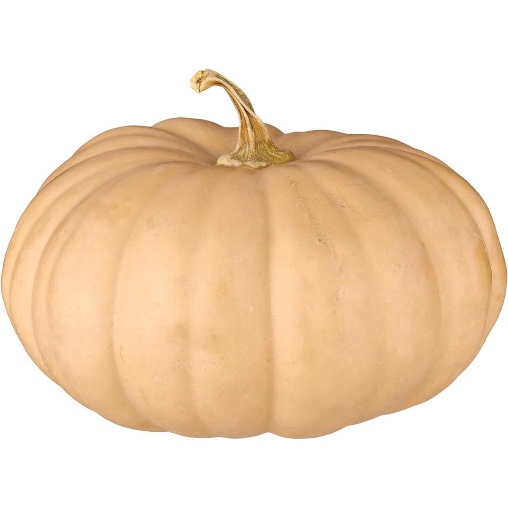 H-E-B Texas Roots Sweet Hazel Baking Pumpkin, lb
