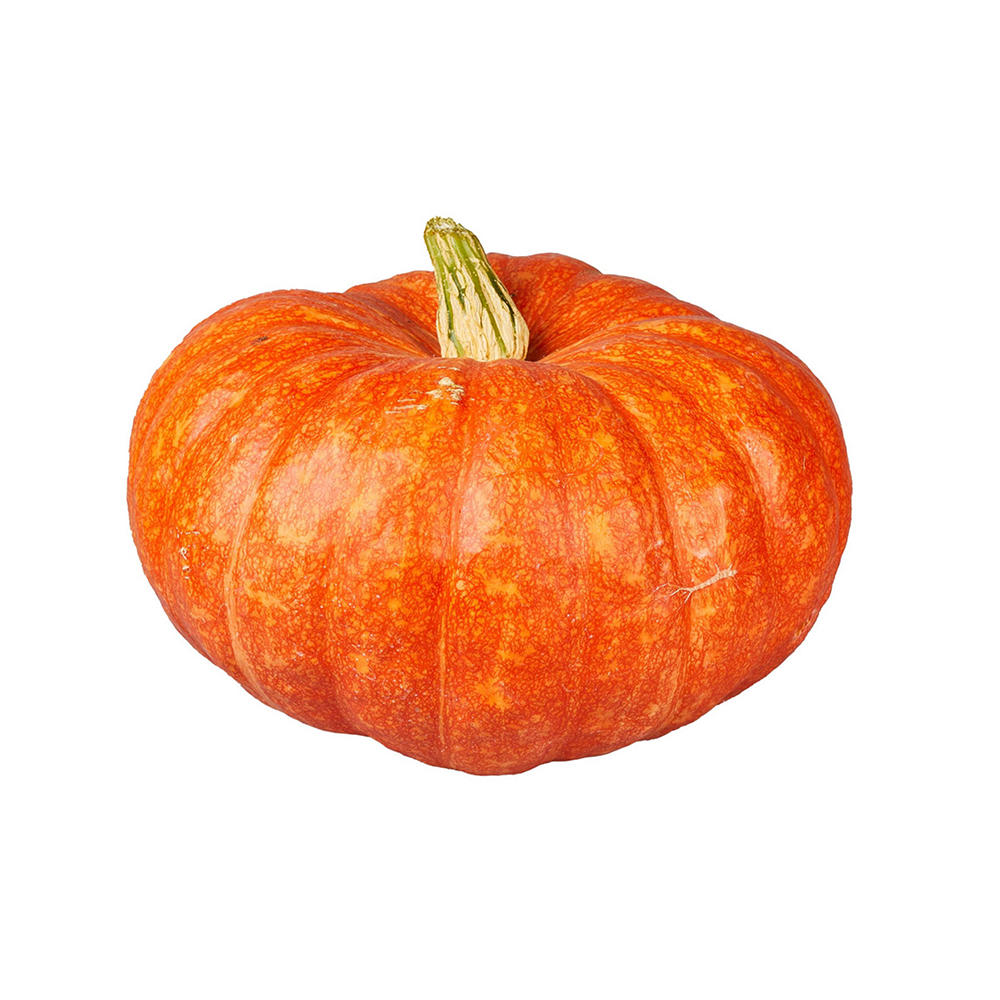 H-E-B Texas Roots Small Cinderella Pumpkin
