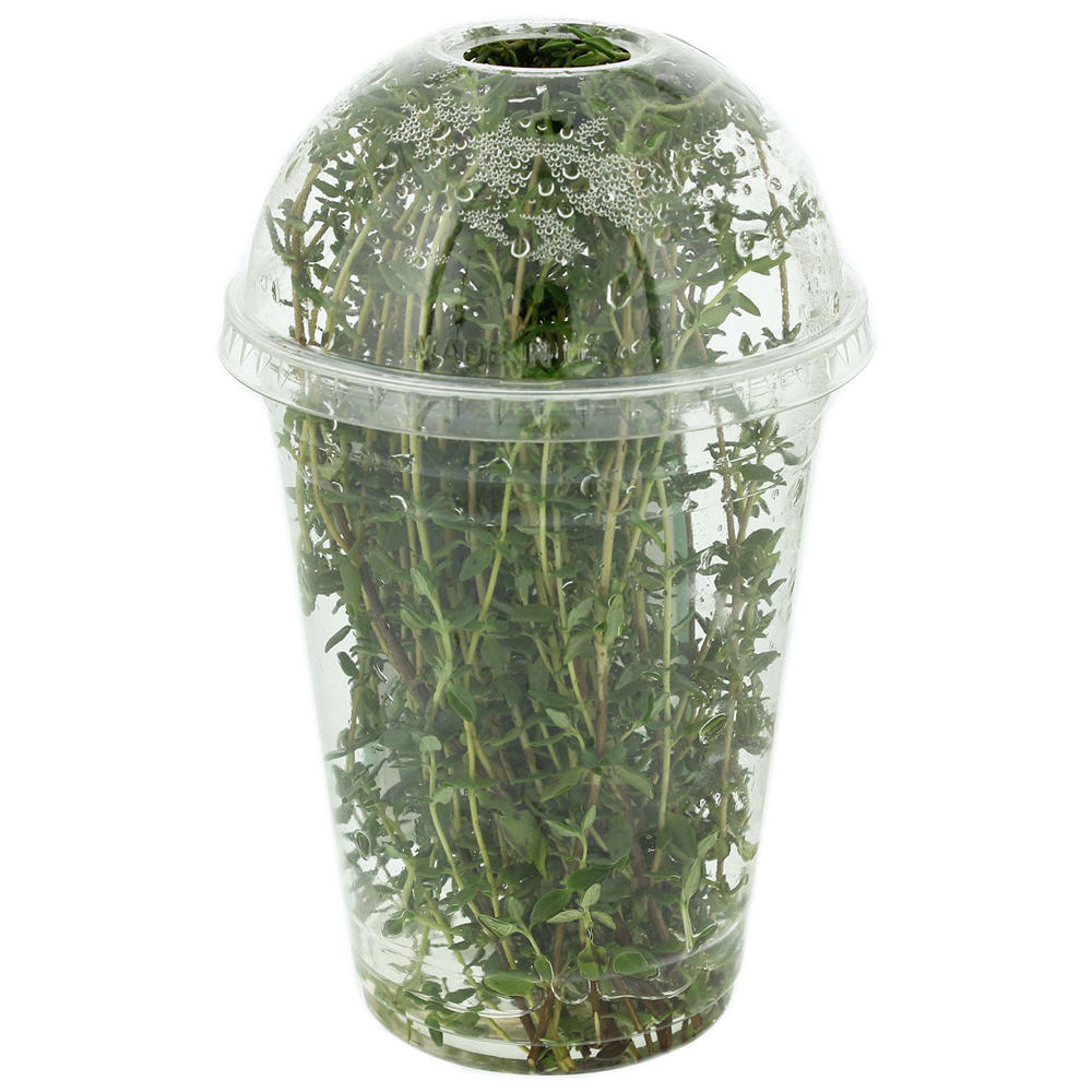 Fresh Aqua-domeThyme, .75 oz