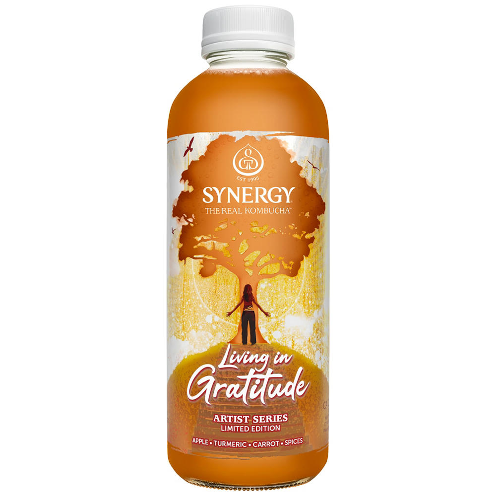 GT'S Synergy Kombucha Living in Gratitude (Seasonal), 16oz