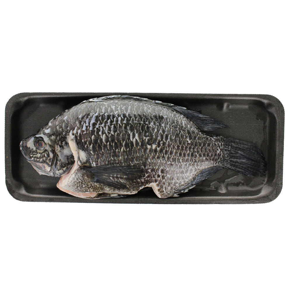 Fresh Whole Tilapia Tray Pack, Farm Raised, Avg. 1.73 lbs